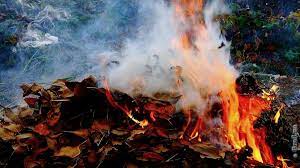 При сжигании опавших листьев в окружающую атмосферу выделяется масса вредных веществ